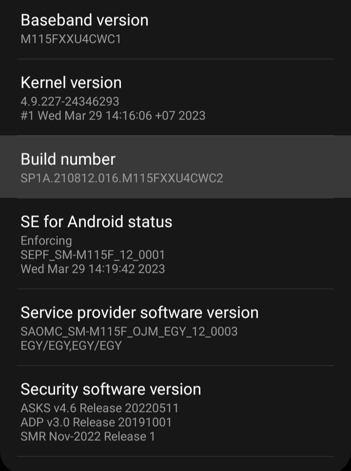 Tap Build number 7 times to unlock Developer Options